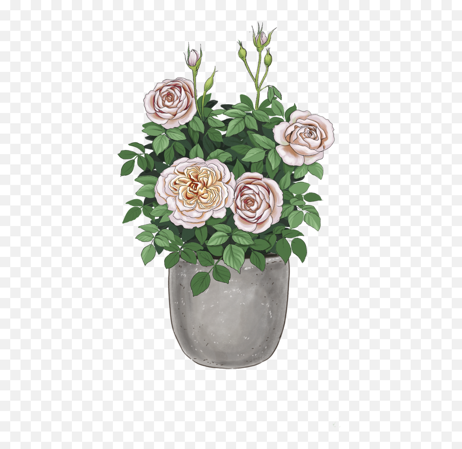 Blush Pink Miniature Roses Emoji,Flower Emoji All Systems