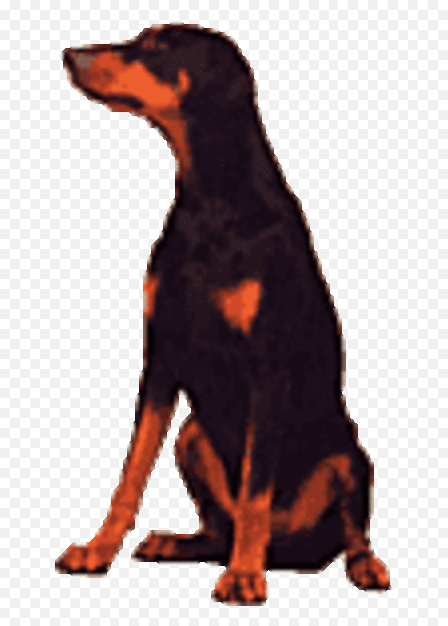 Doberman Pinscher From Playful Puppy To Devoted Dog - Hubpages Emoji,Snarling Dog Emoji Meaning