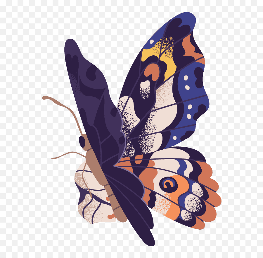 Jennifer Love - The Butterfly Ceremonies 3 Part Series Emoji,Blue Butterfly Emoji Mean