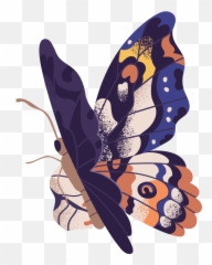 Jennifer Love - The Butterfly Ceremonies 3 Part Series Emoji,Blue Butterfly Emoji Mean