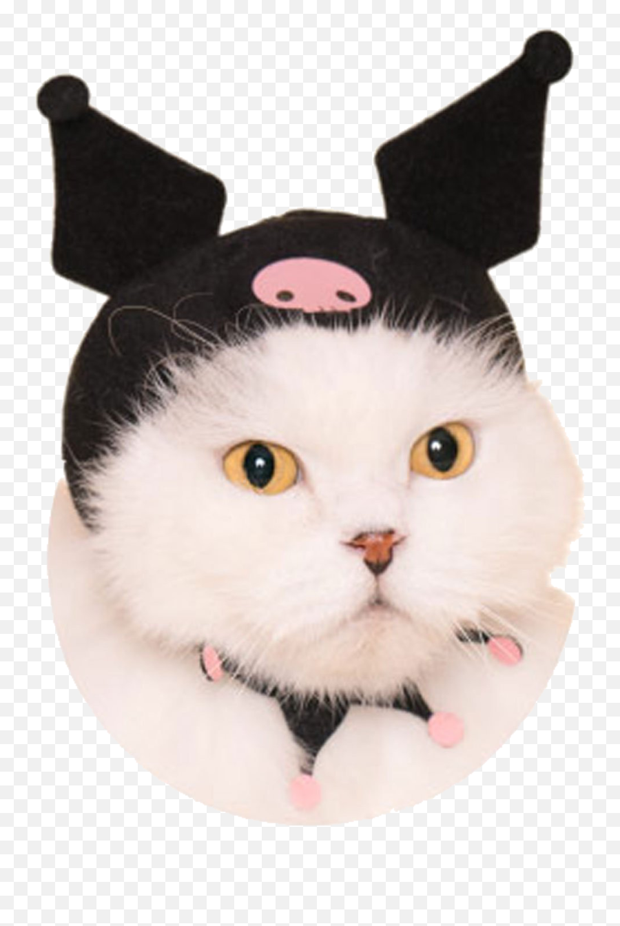 Pin On Cat - Sanrio Cat Hats Emoji,Sleepy Cat Emoji