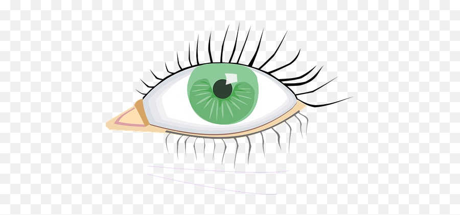 Wimpers Beelden - Download Gratis Afbeeldingen Pixabay Parts Of The Eye External Drawing Emoji,Emoticons Blozen