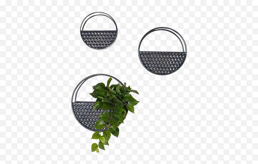 Planters U2013 Ooopalala - Dot Emoji,Omplicated House Plant With Emotions Sign