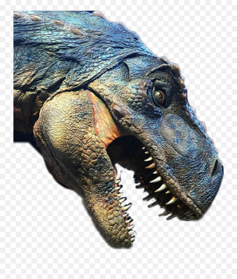 The Most Edited T - Rex Picsart Animal Figure Emoji,No Trex Emoji?