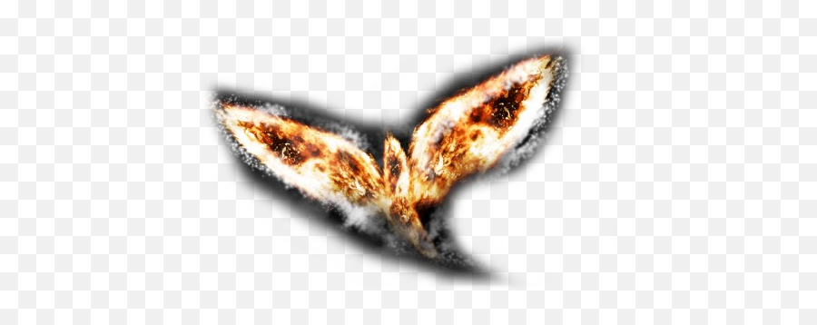 Freedom From Negative Emotions Enlightened Perceptions - Butterfly Emoji,Negtaive Emotions Freedom From Negative Emotions Enlightened Perceptions - Butterfly Emoji,Negtaive Emotions