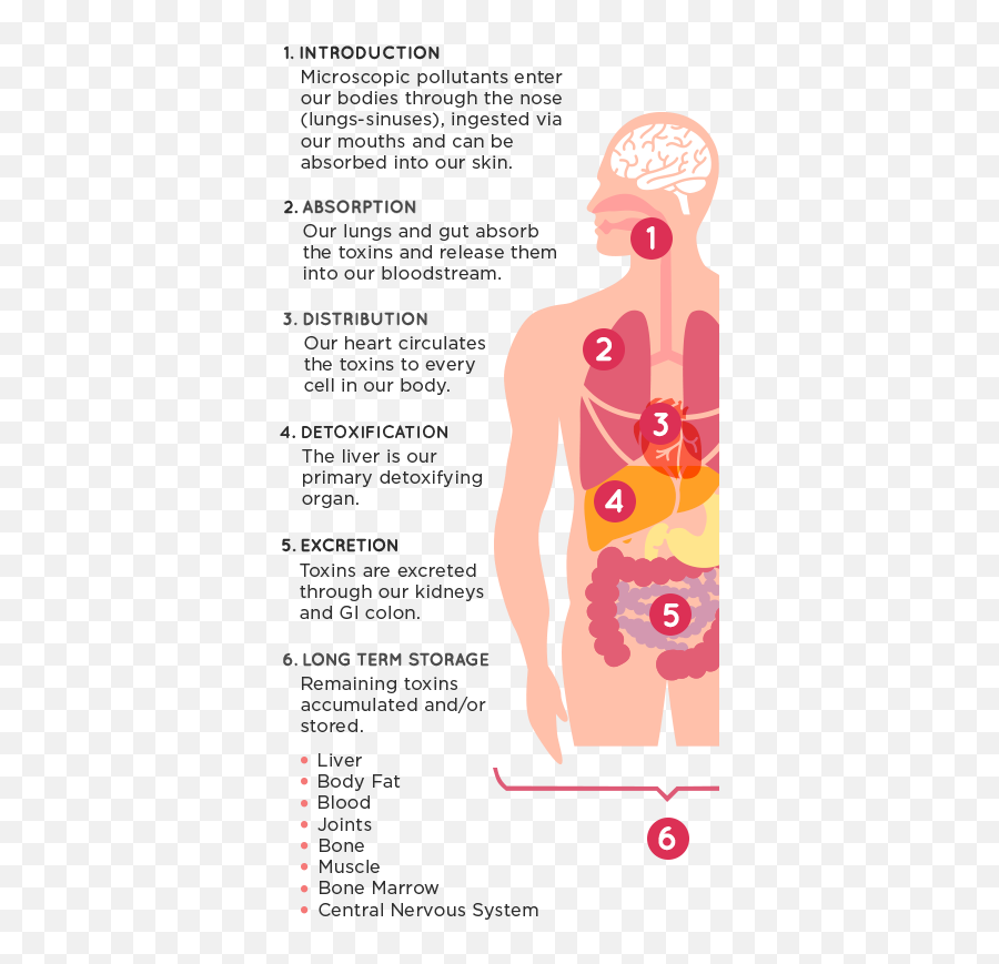 Resources Emoji,Emotions Stored In Fat Cells And Muscles