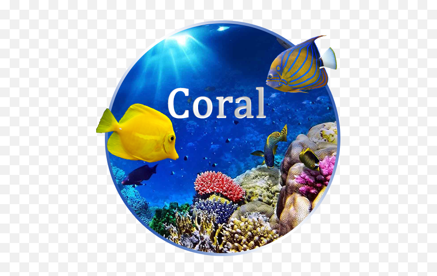 Amazoncom Coral Reef Live Wallpaper Appstore For Android - Coral Reef Fish Emoji,Emoji Movie Wallpaper