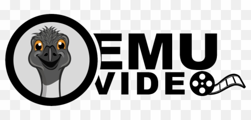Australian Animated Explainer Videos Emu Video - Business Emoji,Lancer Work Emotion D9r