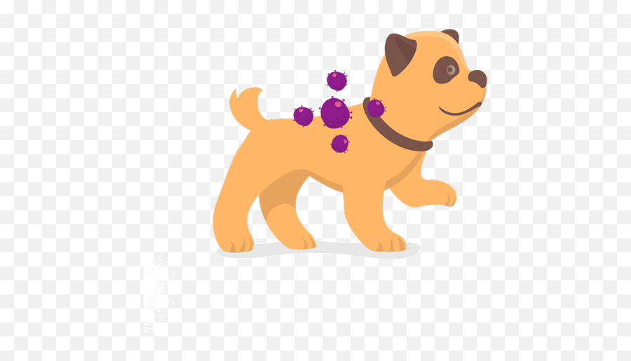 Micromed Probiotics For Dogs - Dog Supply Emoji,Licking Cat Emoticon