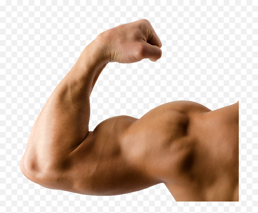 Png Images Pngs Muscle Muscles - Muscles Png Emoji,Muscle Arm Brown Emoji