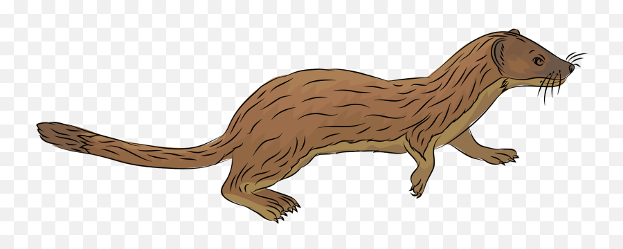 Long - Long Tailed Weasel Clipart Emoji,Weasel Emoji