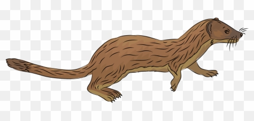 Long - Long Tailed Weasel Clipart Emoji,Weasel Emoji