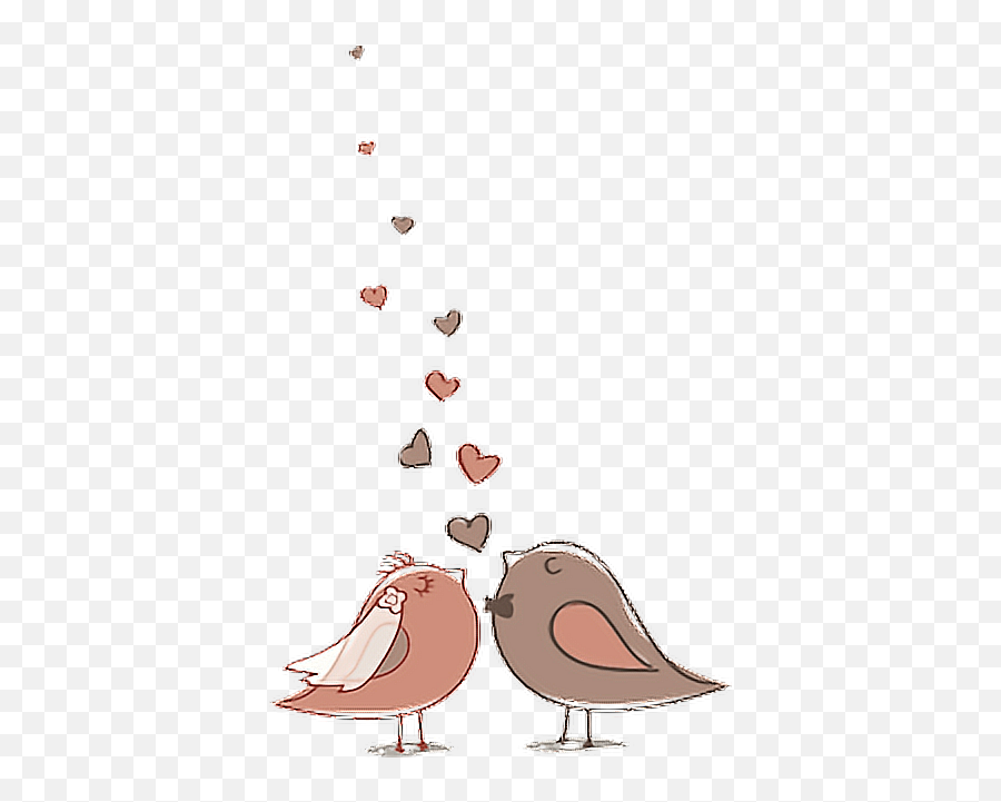 Love Birds Aesthetic Sticker By - Passarinhos Para Convite De Casamento Png Emoji,Love Birds Emoji