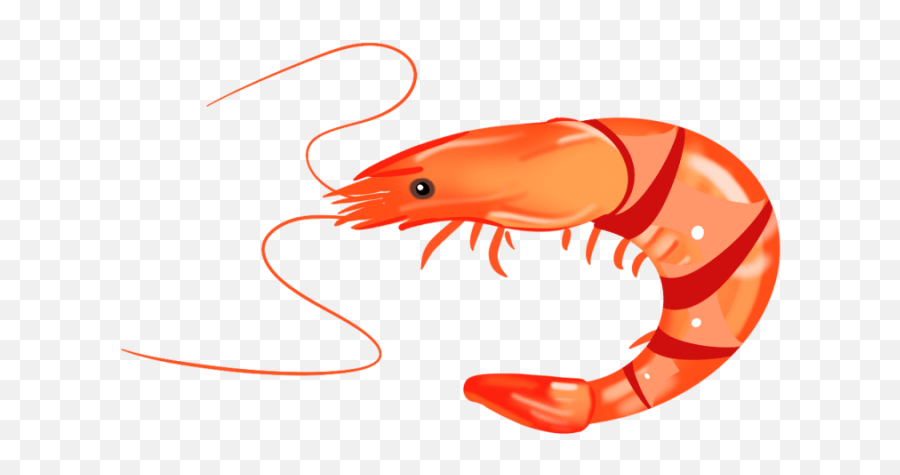 200 Emoji,Discord Shrimp Emoji