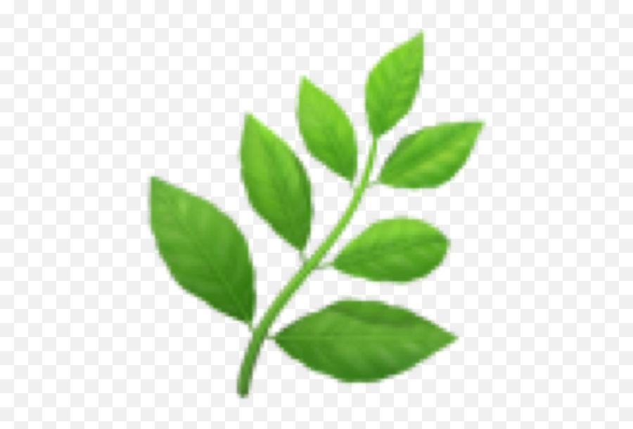 Green Plant Emoji Cute Sticker - Transparent Herb Emoji,Plant Emojis
