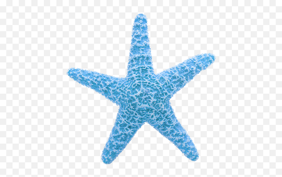 Starfish Transparent Png Image Ideas - Transparent Star Fish Gif Emoji,Starfish Emoji