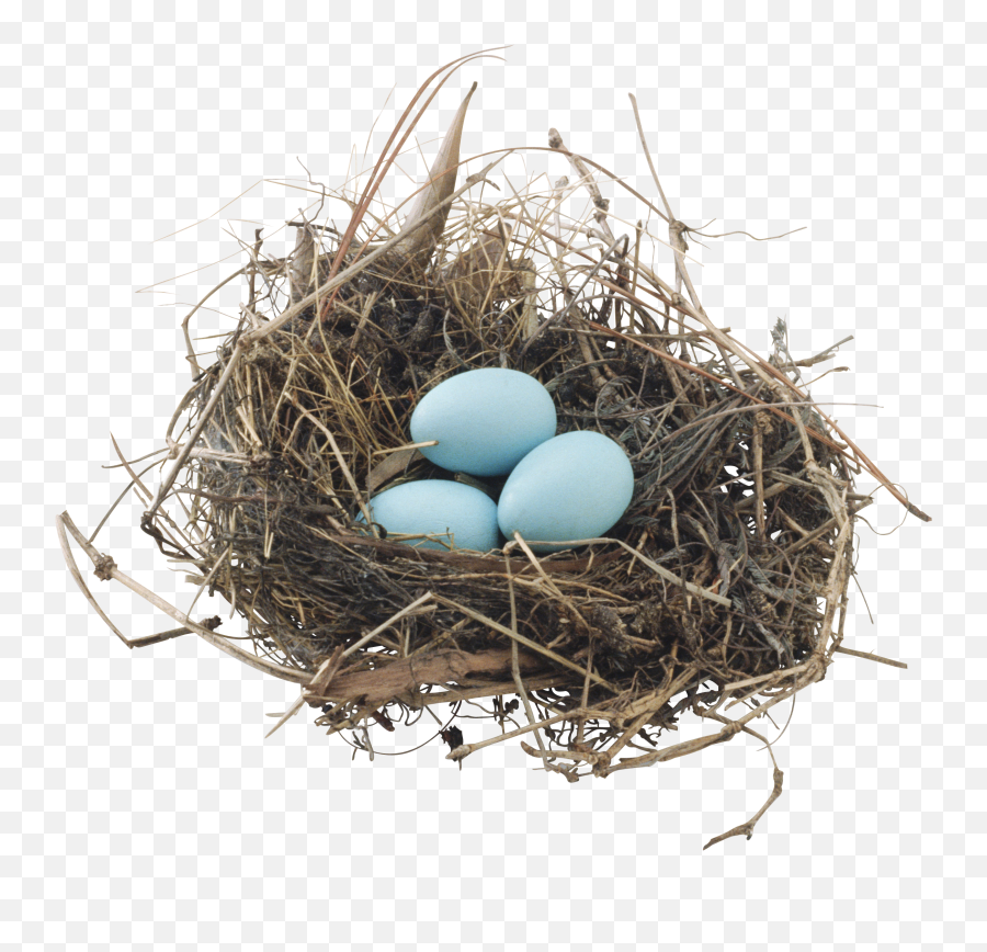 Bird Nest Sticker - Eggs In A Nest Png Emoji,Nest Emoji