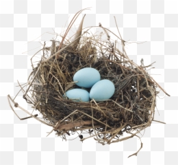 Bird Nest Sticker - Eggs In A Nest Png Emoji,Nest Emoji