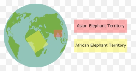 Basic Facts About Elephants Emoji,Elephant Touching Dead Elephant Emotion