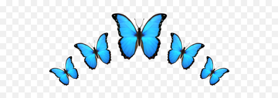 Emoji Crown Corona Butterfly Sticker - Transparent Butterfly Emoji,Emoji Mariposa