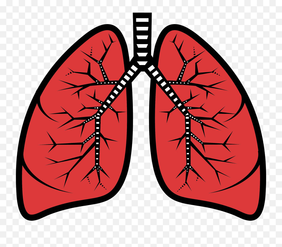 Lungs Clipart Free Download Transparent Png Creazilla - Clip Art Of Lungs Emoji,X Ray Emoji