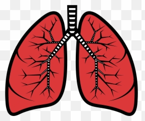 Lungs Clipart Free Download Transparent Png Creazilla - Clip Art Of Lungs Emoji,X Ray Emoji