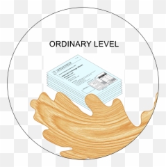 Ordinary Level Exam Thumb - Language Emoji,Sideways Thumb Emoji