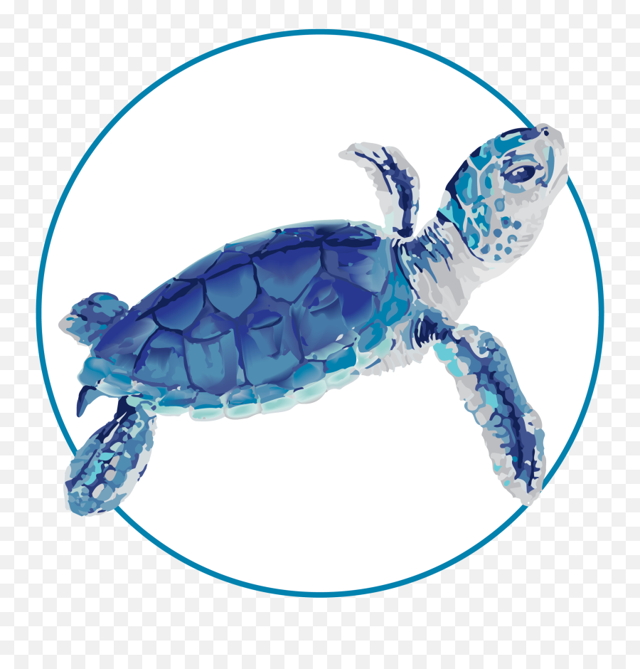 Blue Turtle Psychology - Clinical Psychologist Brisbane Emoji,The Sims 4 Turtle Emotion