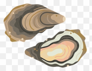 Pacific Oyster - Rating Id 472 Good Fish Guide Emoji,Emoji Scotsman