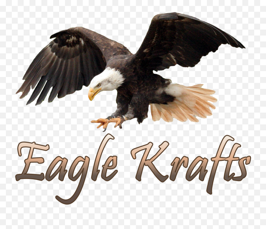 About Us U2013 Eaglekrafts Emoji,Emoji Soar