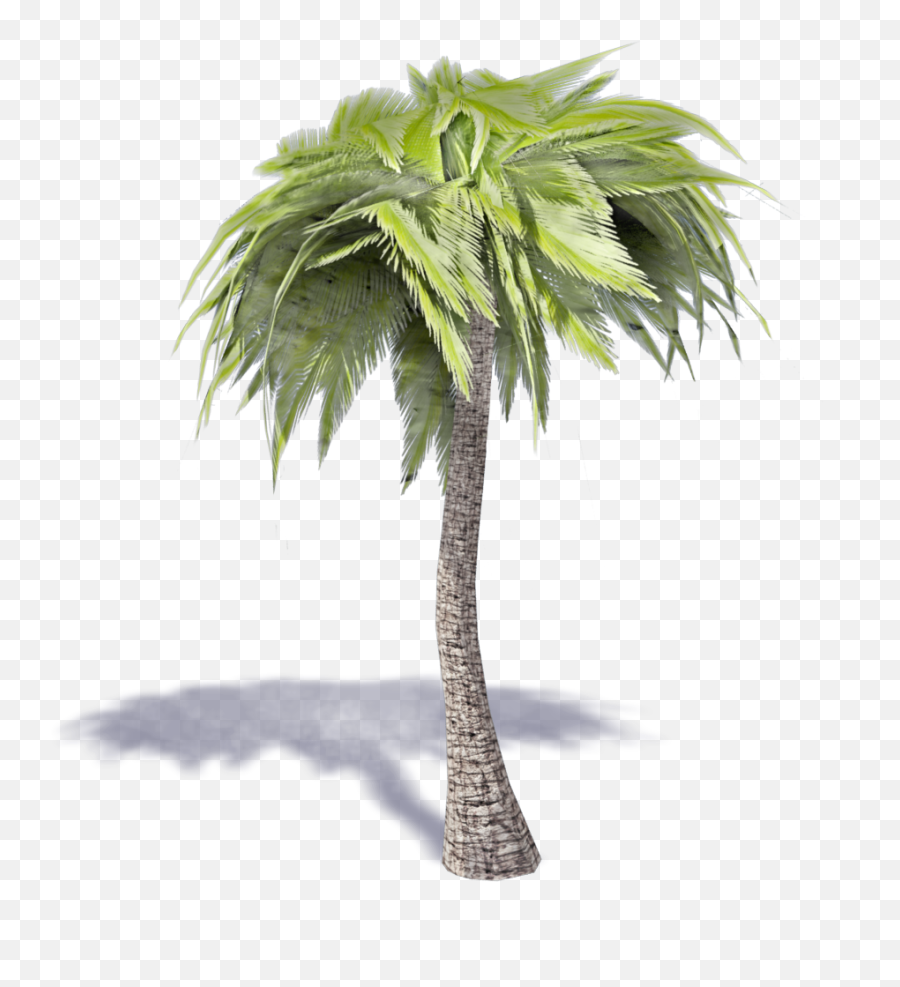 Download Palm Tree 3d Png - Full Size Png Image Pngkit 3d Palm Tree Png Emoji,Palm Tree Emoji