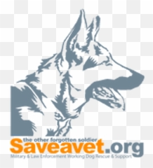 Cherese Cobb Archives U2022 Fetch Magazine Emoji,How To Tell German Shepherds Emotions By Their Ears