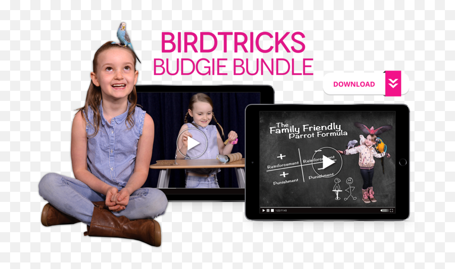 Organic Birdie Bread Bundles - Sitting Emoji,Gcc Conure Emoticon