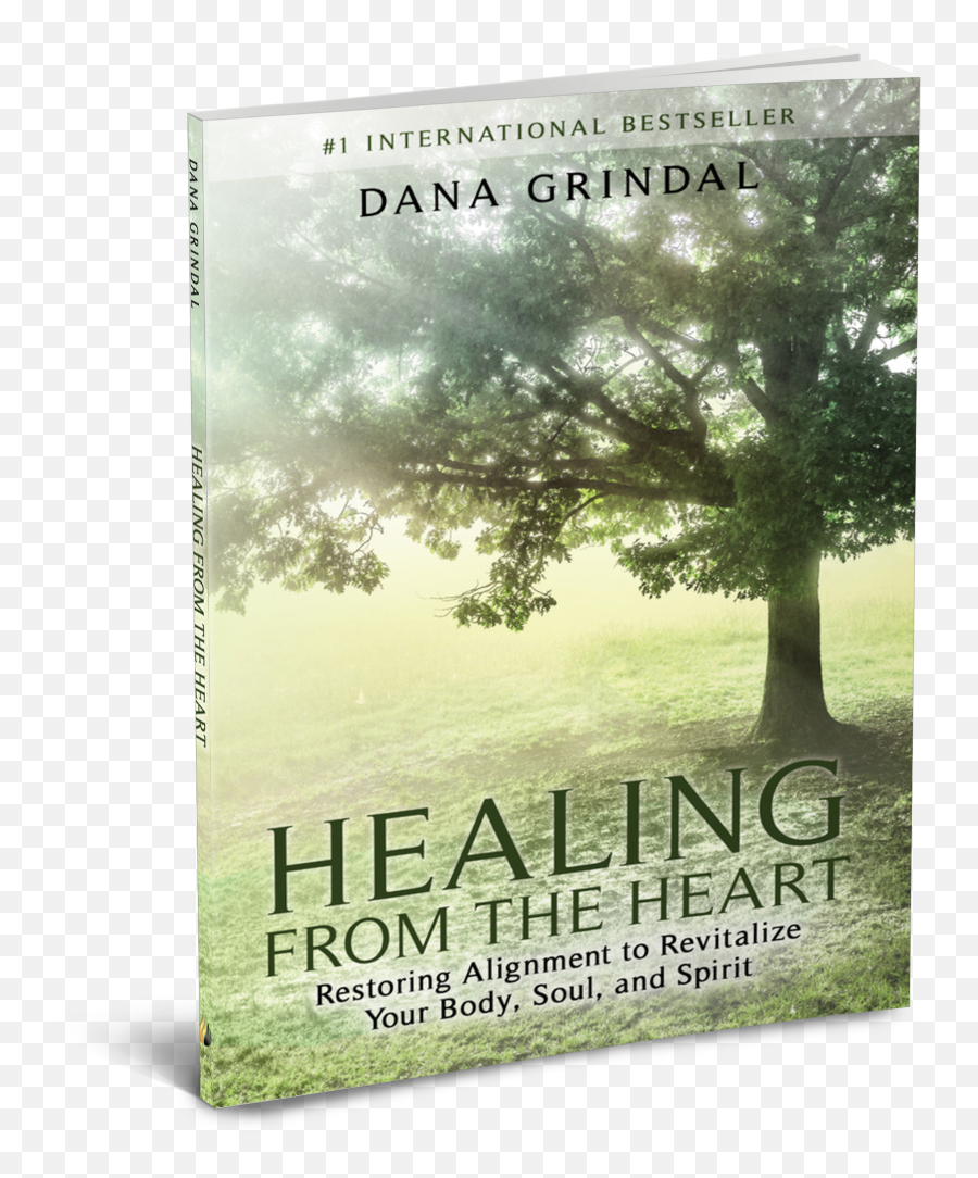 Ignite Press Book Store - Healing From The Restoring Alignment To Revitalize Your And Spirit Emoji,Emotion Maskas