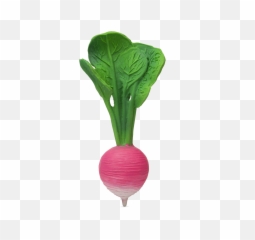 Oli U0026 Carol Fruit And Veggie Teethers Emoji,Veggies Emoji Broccoli