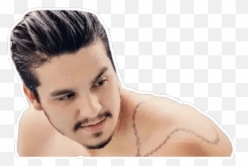Luan Santana Stickers - Live Wa Stickers Emoji,Pompadour Emoji