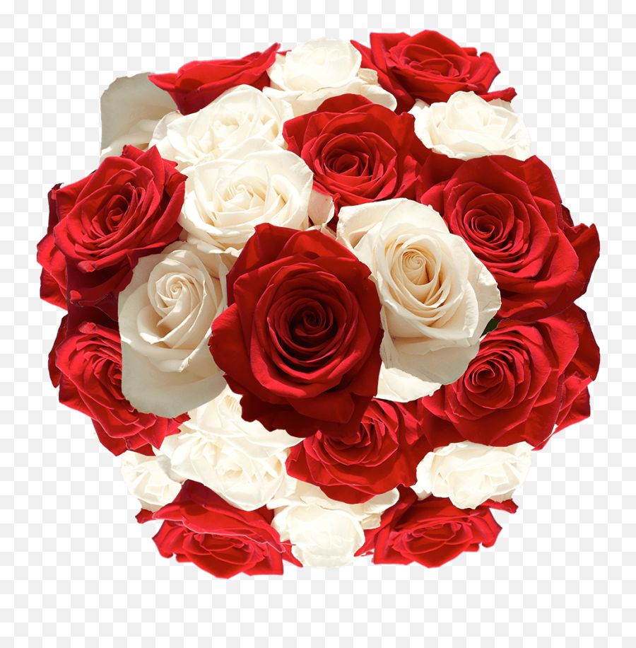 Extra Large Premium Rose Bouquet Fresh Cut Flowers Emoji,Boquets Emoji