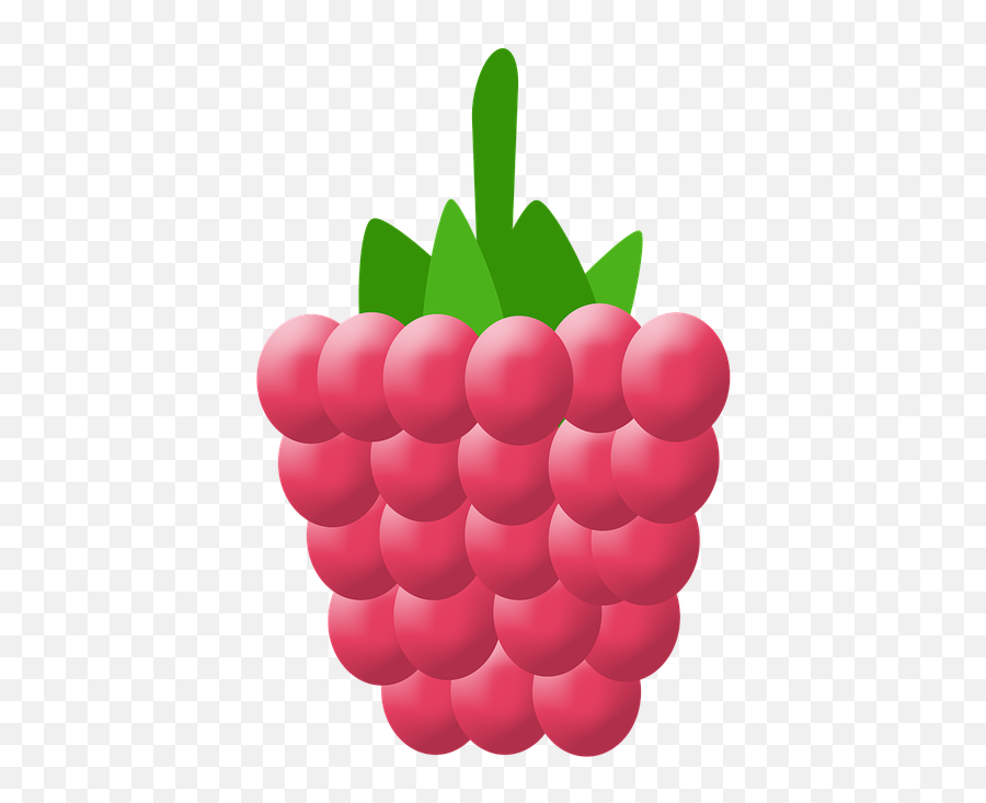 Raspberry Vector - Free Image On Pixabay Emoji,New Dashed Emoji