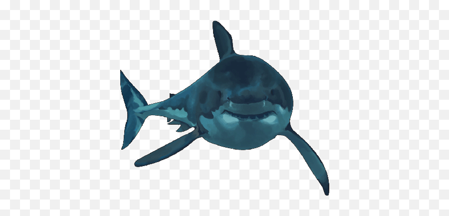 Topic For Animated Emoji Download - Great White Shark,Shark Emoji