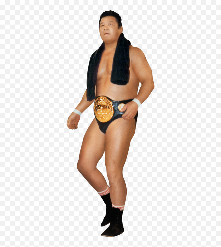 Tatsumi Fujinami - Tatsumi Fujinami Render Emoji,Bruiser Brody Emoji