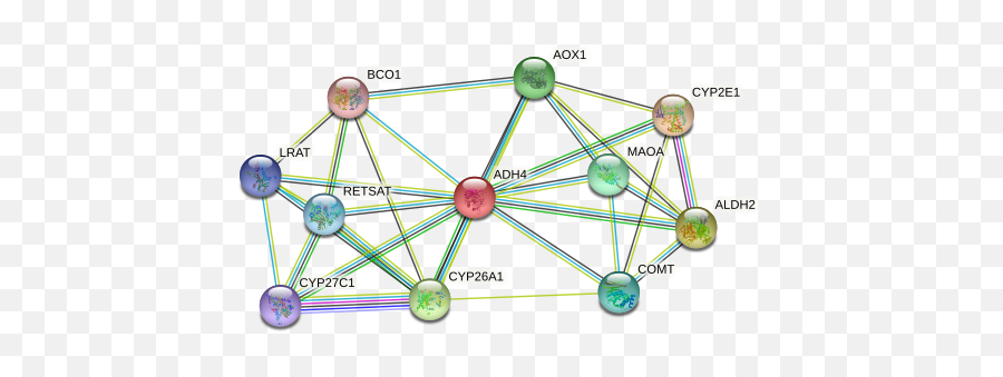 Adh4 Protein - Dot Emoji,Marker Binding, Emotion