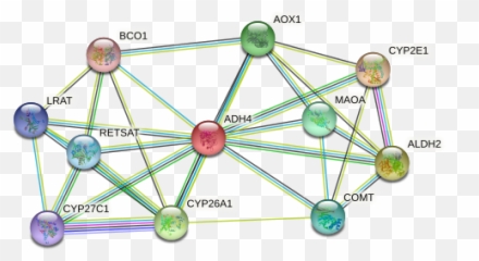 Adh4 Protein - Dot Emoji,Marker Binding, Emotion