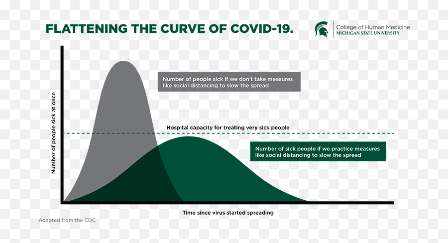 Covid - 19 Research And Perspectives Michigan State University Vertical Emoji,Michigan State Emoji