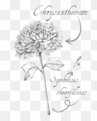 Once Upon A Thyme - Sketch Emoji,Emotion Language Of Flowers