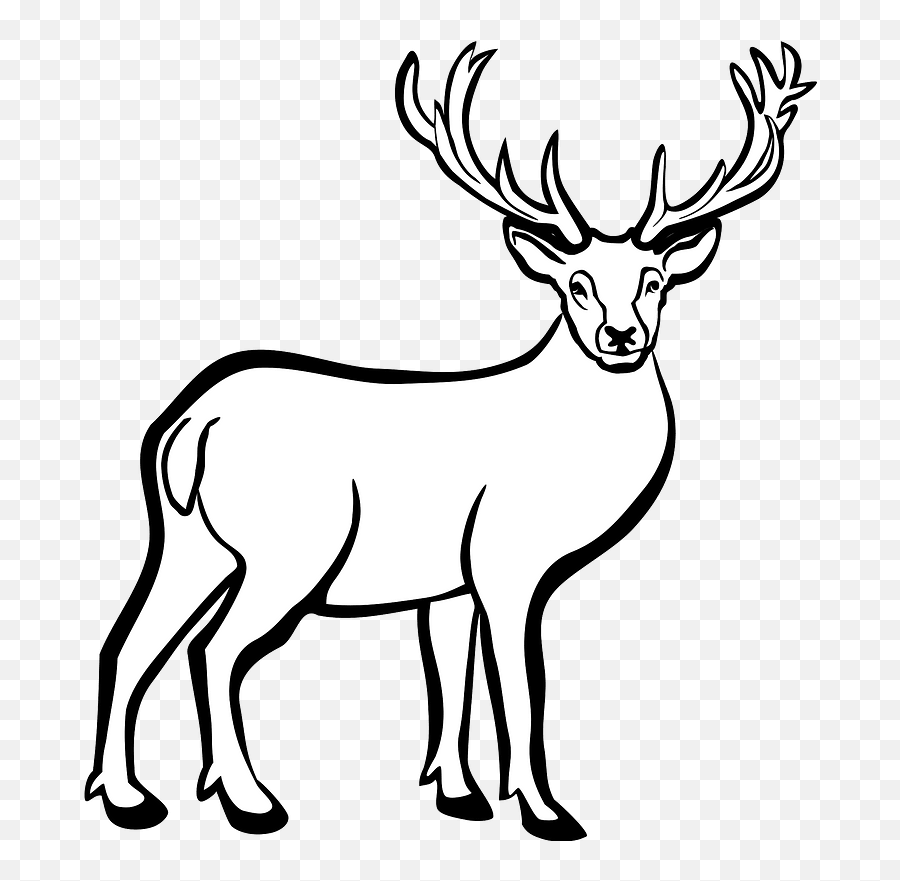 Deer - Black And White Clipart Free Download Transparent Deer Black And White Clipart Emoji,Whitetail Deer Emoji