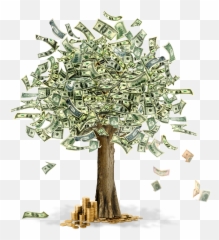 2015 - Money Tree Hd Emoji,Hydrangea Macrophylla Emotion