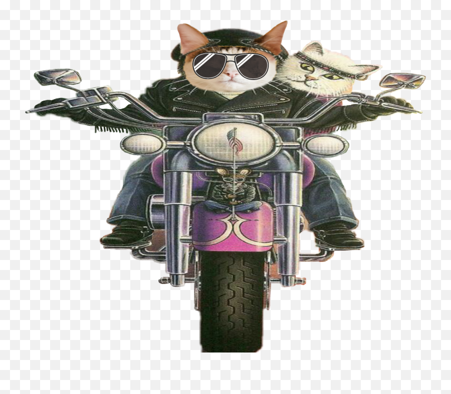 Biker Motorcycle Cats Sticker - Motorcycling Emoji,Biker Emoji