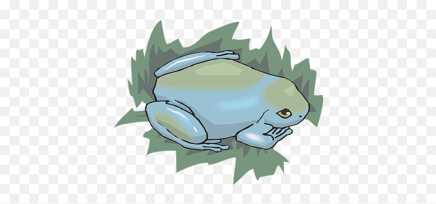 90 Free Toad U0026 Frog Illustrations - Pixabay Amphibian Emoji,Frog Emoji Hat