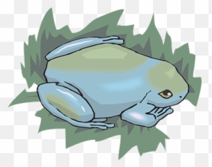 90 Free Toad U0026 Frog Illustrations - Pixabay Amphibian Emoji,Frog Emoji Hat