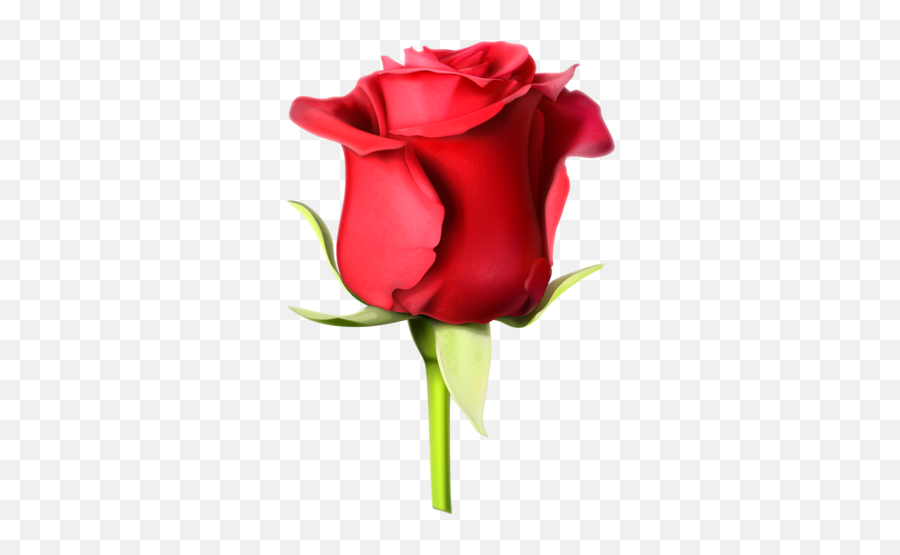 Pin On Flowers - Flower Rose Images Hd Download Emoji,Red Flowers Emoji